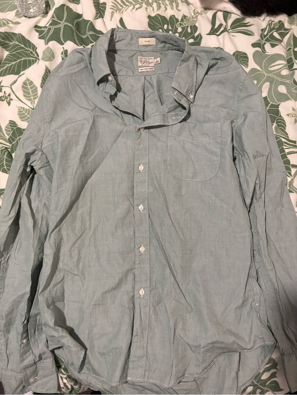 J. Crew Light Green Men's Casual Button-Down Shirt